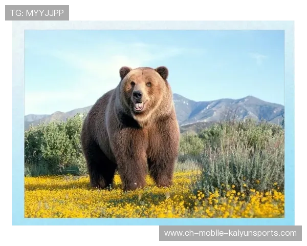 灰熊重建之路:明星对等交换还是囤积选秀权?未来走向深度解析 灰熊重建之路:明星对等交换还是囤积选秀权?未来走向深度解析