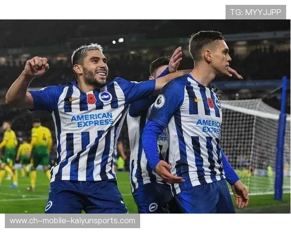 海鸥执着追梦：借主场之势冲击胜利的荣耀之旅