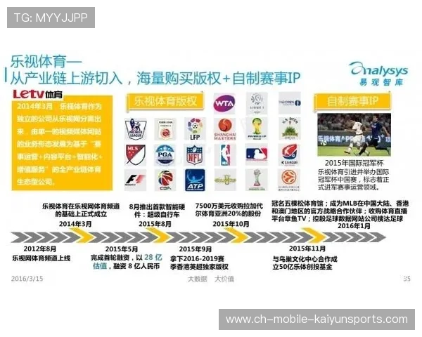 体育赛事网络版权合作模式多元化